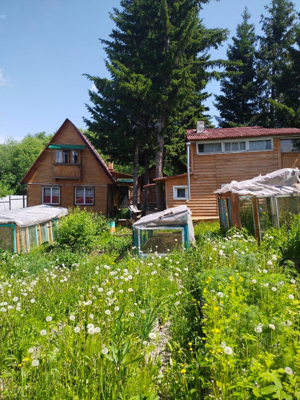 Дом 100 м², участок 10 сот., СНТ Голубые Дали, фото 20