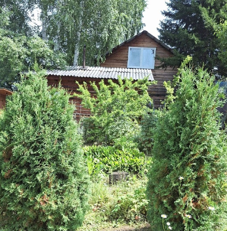 Дом 66 м², участок 6 сот., СНП Колхозный строитель, фото 20