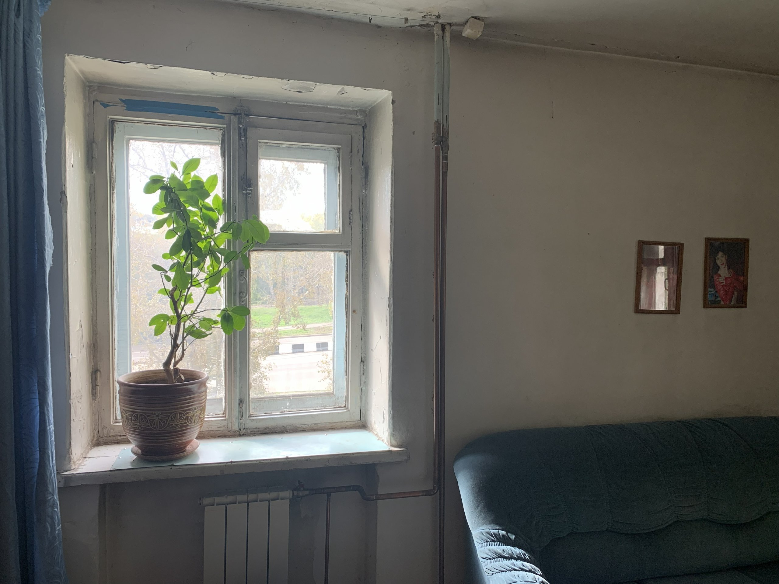 1-комн. квартира 31 м², Иркутск, фото 6