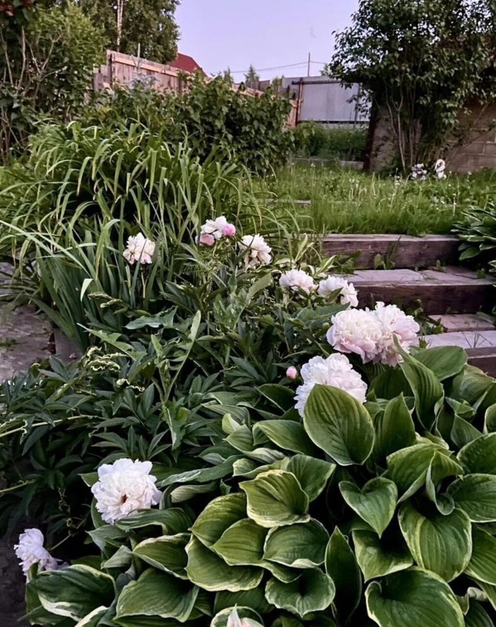 Дом 150 м², участок 10 сот., Усть-Куда, фото 40