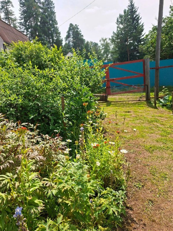 Дом 66 м², участок 6 сот., СНП Колхозный строитель, фото 17