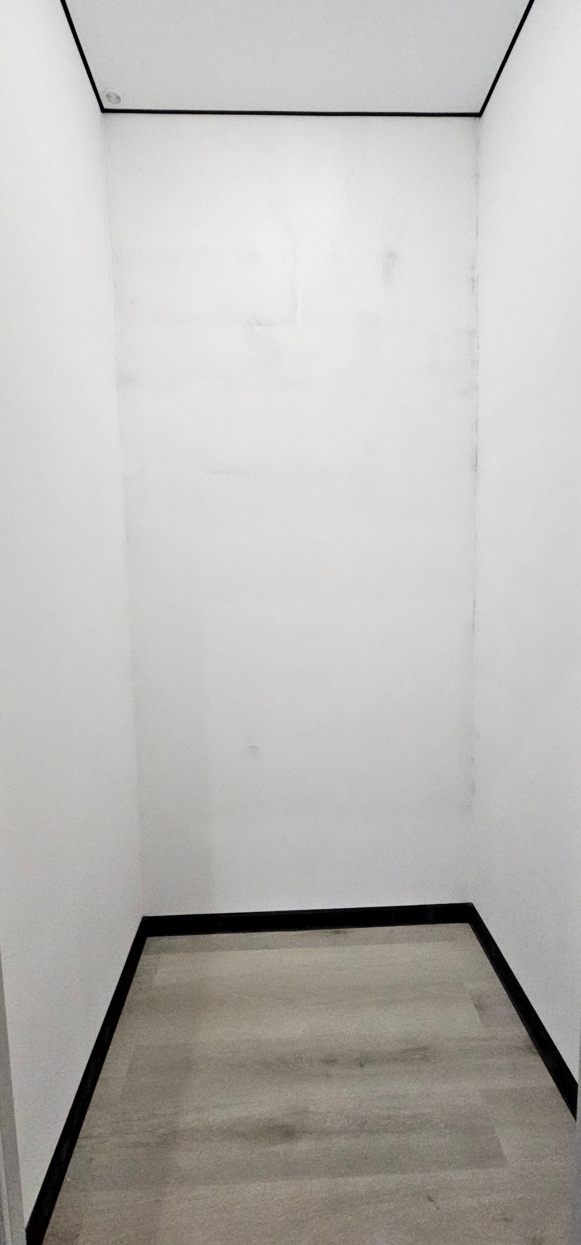 Дом 140 м², участок 10 сот., Максимовщина, фото 14