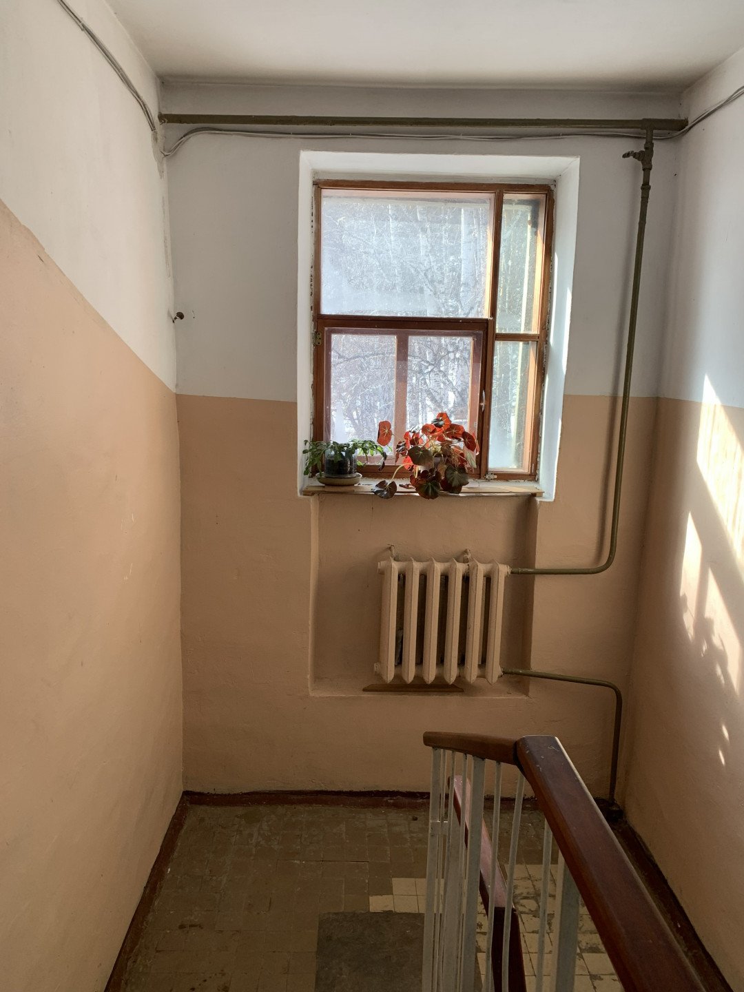 1-комн. квартира 33,4 м², Патроны, фото 10